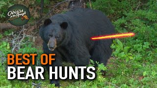 50 Bear Hunts in 15 Minutes ULTIMATE Bear Hunting Compilation  BEST OF [upl. by Adnamas74]