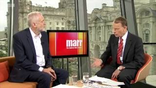 Andrew Marr on causality  Noam Chomsky on Marr [upl. by Assyl45]