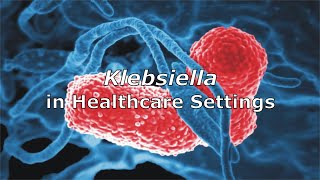 Klebsiella in Healthcare Settings [upl. by Netsuj]