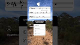 ‼️ Music theory quiz name the interval musicianship musictheory musictheorylessons [upl. by Ibbor31]