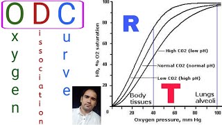 Oxygen Dissociation Curve [upl. by Wales]