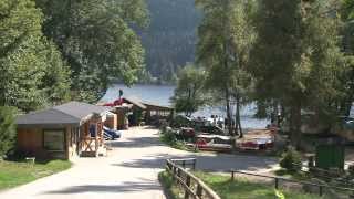 Naturcampingplatz Weiherhof am Titisee [upl. by Aleekahs277]