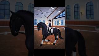 What’s ur opinion on the new friesians ⭐️  SSO edit  starstableonlinehorses sso horse fyp [upl. by Alahs]