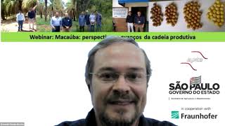 WEBINAR  Macaúba perspectivas e avanços da cadeia produtiva [upl. by Rudich]