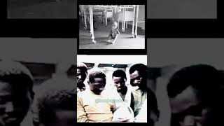 Colonel Philip Effiong speech surrendering Biafra to Gowon shortsafrica nigerianhistory [upl. by Dloniger]