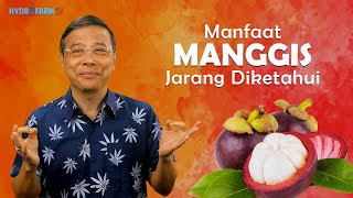 MANFAAT MANGGIS JARANG DIKETAHUI [upl. by Attem]