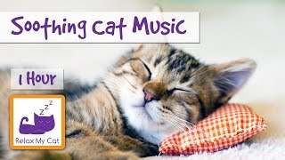 Music to Relax Cats with Separation Anxiety 1 Hour of Soothing Cat Music 🐱 ANXIETY02 [upl. by Tybalt478]