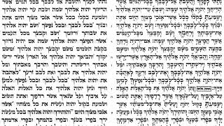 Torah reading Parshat Nitzavim [upl. by Marden190]