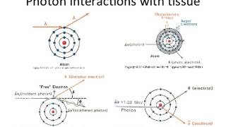 Lecture 2  Introduction to Radiation Biology and Physics [upl. by Vinny]