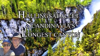 Hällingsåfallet waterfall in Northern Sweden Europes longest canyon 4K UHD [upl. by Haelem43]