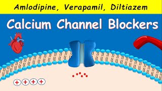 Calcium Channel Blockers  Amlodipine Verapamil Diltiazem [upl. by Neda146]