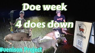 Doe week 4 does in one week [upl. by Alrich]