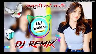 Kabootri New Dj Remix SongDiler KharkiyaDJ King Rahul Khori [upl. by Naejamron47]