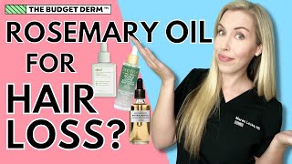 Natural Treatments For Hair Loss  Rosemary Oil Deep Dive  The Budget Dermatologist [upl. by Ardnad]