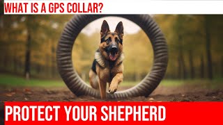 Keep Your German Shepherd Safe GPS Collars for Peace of Mind [upl. by Ayaj]