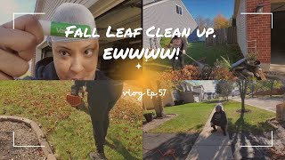 Fall Leaf Clean Up Ewwwww  Ep 57 [upl. by Anazraf356]