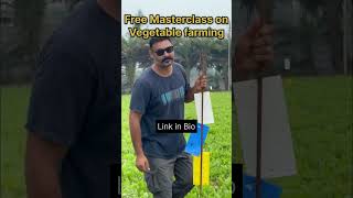 Cheap and effective solution for pests in farming [upl. by Nahshunn673]