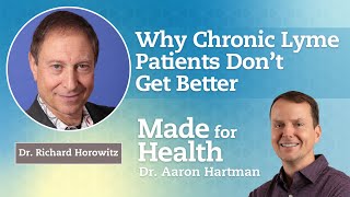 Why Chronic Lyme Patients Don’t Get Better with Dr Richard Horowitz [upl. by Zerdna]