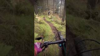 Steep MTB trails at Aberfoyle Mountain bike Enduro trails mtb mtbpov mountainbiker mtbrider [upl. by Kyla]