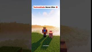 MINECRAFT SACRIFICE 🥹 TECHNO BLADE 🥵  SAD 😢 VIDEO trending shorts viralshort viral minecraft [upl. by Anialem974]