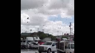 Videos Show Tornado Tearing Through Greater Los Angeles Area [upl. by Sido]