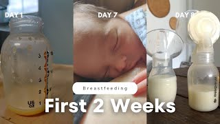 Tips for Breastfeeding  The First Two Weeks ENGORGEMENT MILK SUPPLY LATCHING NIPPLE PAIN [upl. by Azilanna]