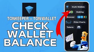 How to Check Wallet Balance in TON Wallet 2024 [upl. by Nnaitak903]