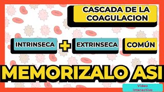 Rápido y Fácil Memorización de la Coagulación con este TRUCO [upl. by Anecuza]