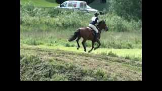 lincomb hunter trials [upl. by Marks]