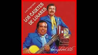 Los Cadetes De Linares Corridos De Antaño Mix [upl. by Eceinej]