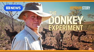 The maverick outback grazier using donkeys to regenerate his land  Australian Story [upl. by Dnarb470]