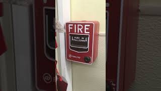 Fire Alarm Pull Station and Emergency Exit Door  Dollar Tree [upl. by Nickie]