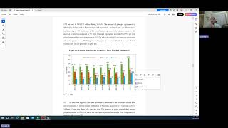 PGPBM 2303043 Sriram IEP External Debt [upl. by Eilsek]