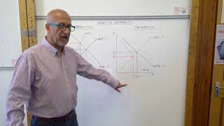 Internalising the Externality [upl. by Esaele]