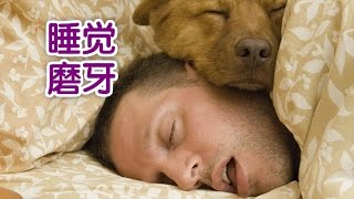 牙医教你夜里磨牙怎么办？ How to Stop Grinding Teeth at Night？ [upl. by Eirrem560]