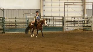 Ranch Riding AQHA Pattern 12 [upl. by Alaet]