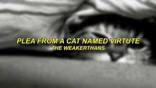 The Weakerthans  Plea from a Cat Named Virtute  Sub Español [upl. by Joni709]