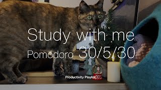 Study with me Pomodoro 30530・LofiampChill beats and Hip Hop music・sometimes cat [upl. by Kraul]