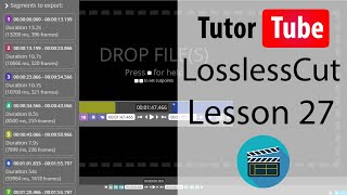 LossLessCut Tutorial  Lesson 27  Tracks Options [upl. by Idoc640]