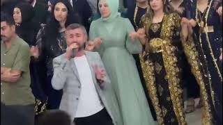 Fransa Paris düğünü canlı halay keşfet kurdish mikailcebrail öneçıkar youtubeshorts [upl. by Anyk450]