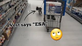 Uneducated ESA handler corners service dog at Walmart [upl. by Airdnoed522]