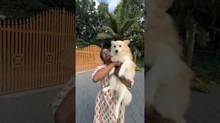 Amma varumpol olla evening show mickeydogdogloverdogfunnyvideos [upl. by Duvall]