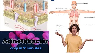 acinetobacter microbiology lecture acinetobacter Easy Microbiology [upl. by Dygal]