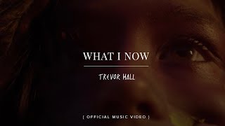 TREVOR HALL  What I Know  OFFICIAL MUSIC VIDEO [upl. by Adran]