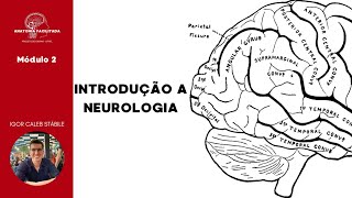 Introdução à Neurologia [upl. by Pare512]