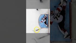 Why Does Bobrovsky Throw His Stick [upl. by Sheryl]