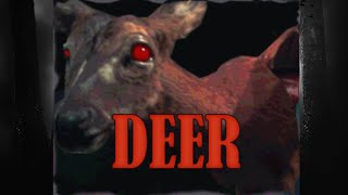 OH Deer what have I Done  DEER [upl. by Ahs]