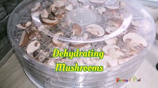 Mushroom Powder  Dehydrating Mushrooms  Natural Umami [upl. by Sackville387]