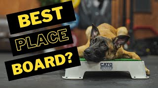 The Cato Place Board Will MAKE Your Training EASIER [upl. by Hoyt]