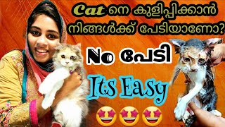 🐱പൂച്ചയെ ഒന്ന് കുളിപ്പിക്കാംഅറിയേണ്ടതെല്ലാം🐱Persian cat bathingPersian cat malayalamCat bath [upl. by Anirbac]